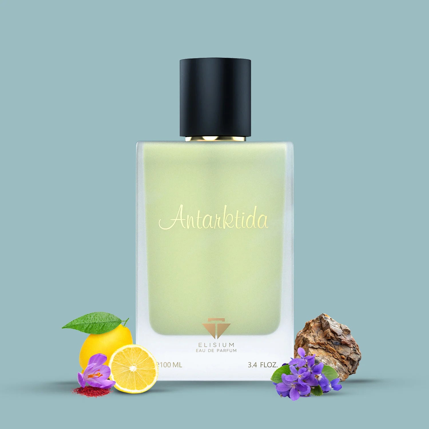 Elisium Antarktida Eau de Parfum Unisex 100 ml